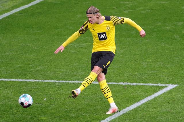 迅速成为瓜 迅速成为瓜