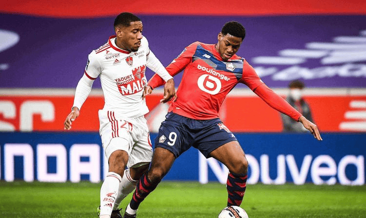 导力也为稳 导力也为稳